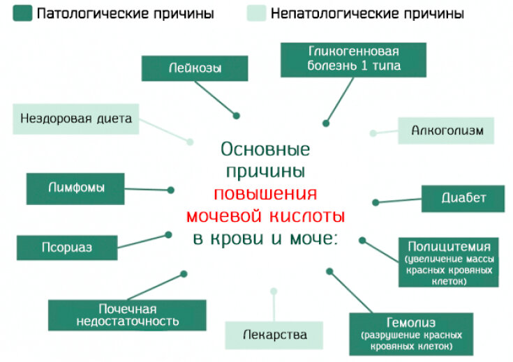 Повышенная мочевая кислота в крови: причины и лечение