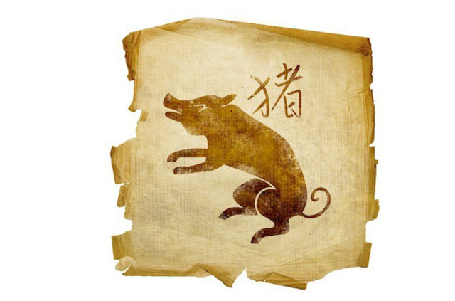 Источник Яндекс картинки