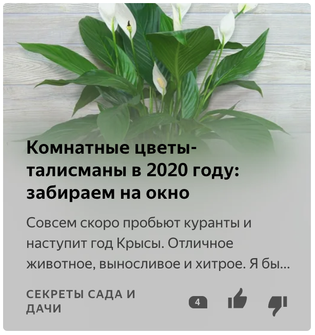 Скриншты заголовков статей из «Яндекс.Дзена»