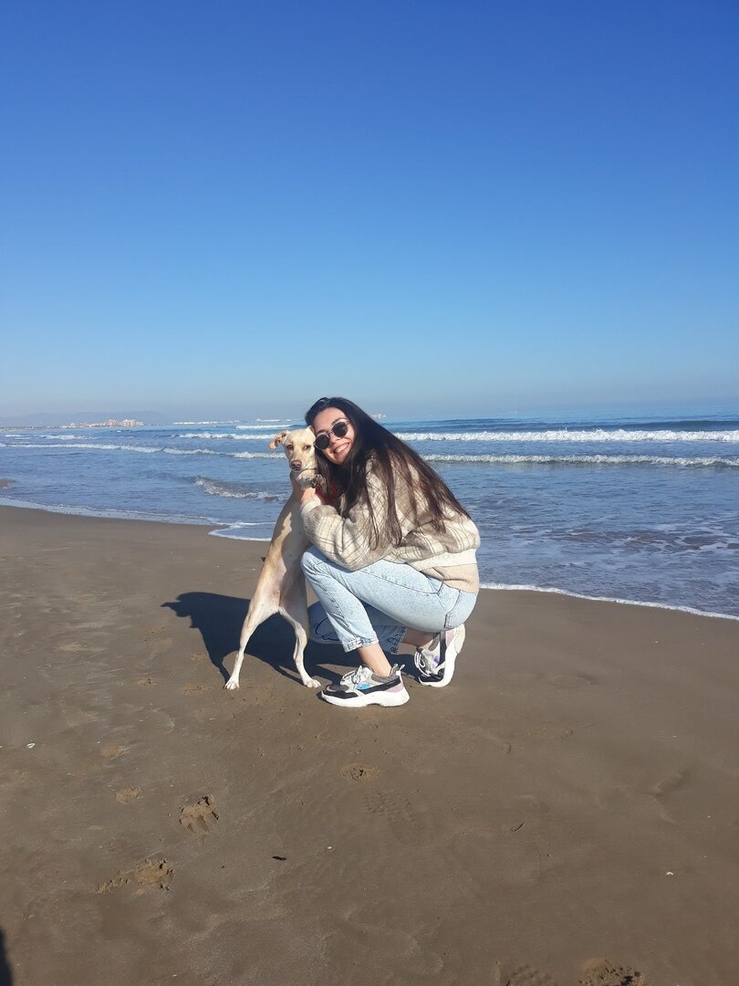 На пляже в Валенсии кроме нас полно собак
