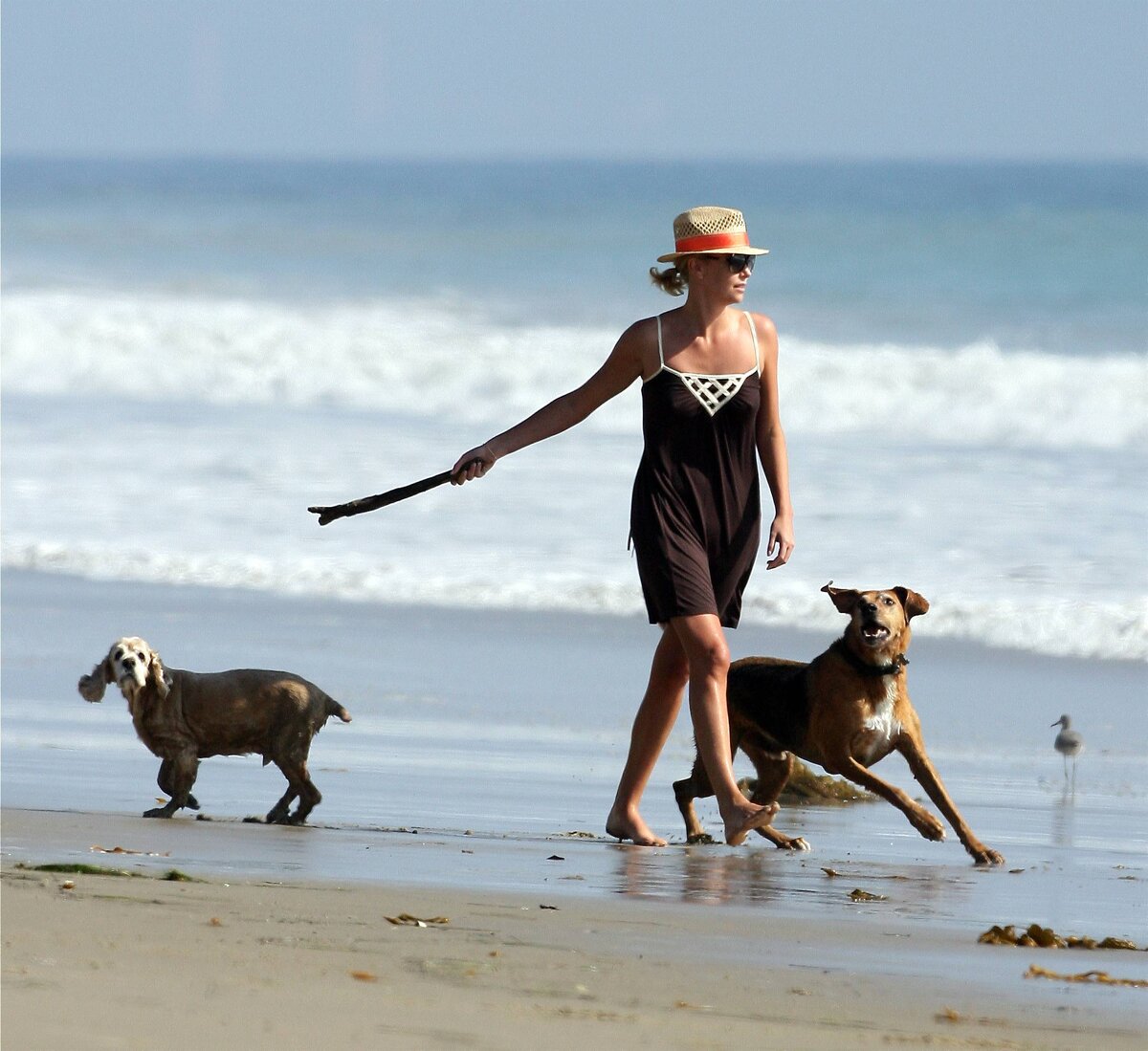 Шарлиз, Денвер и Далила. Фото из открытого источника Яндекс.картинки.