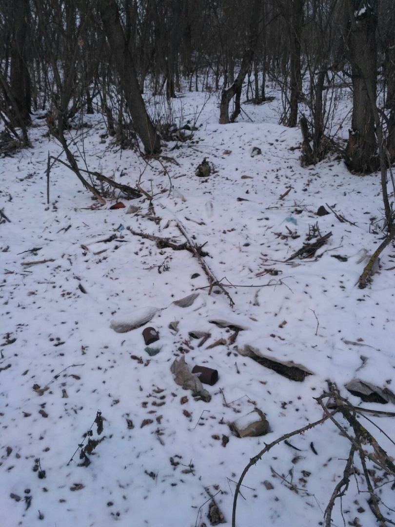 Сделали помойку из сада, не в тему но все таки: