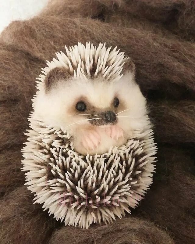 Милаха🦔