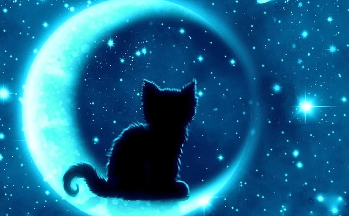 Лунный календарь домашних дел на февраль (гороскоп домохозяйки)