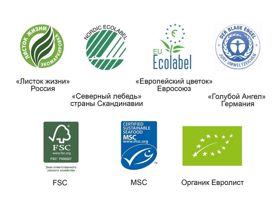 Как сделать квартиру экологичнее Ремэлль Дизайн Ремонт Жизнь Дзен