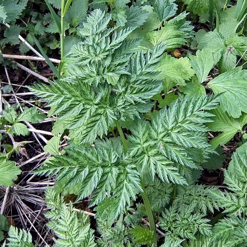 Фото Сергея Апполонова