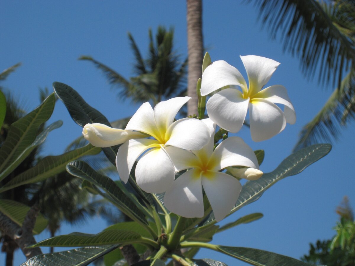 Фото сделано автором. На отдыхе и глазам нужен отдых.
