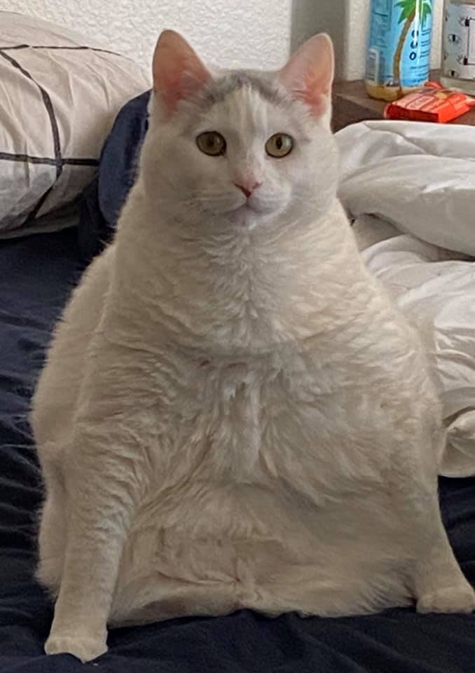 Занял твёрдую позицию 😳😳