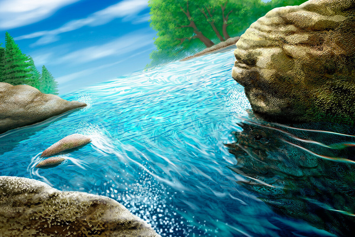 Фото из поисковой системы