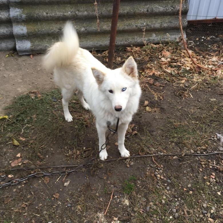 Фото: Яндекс