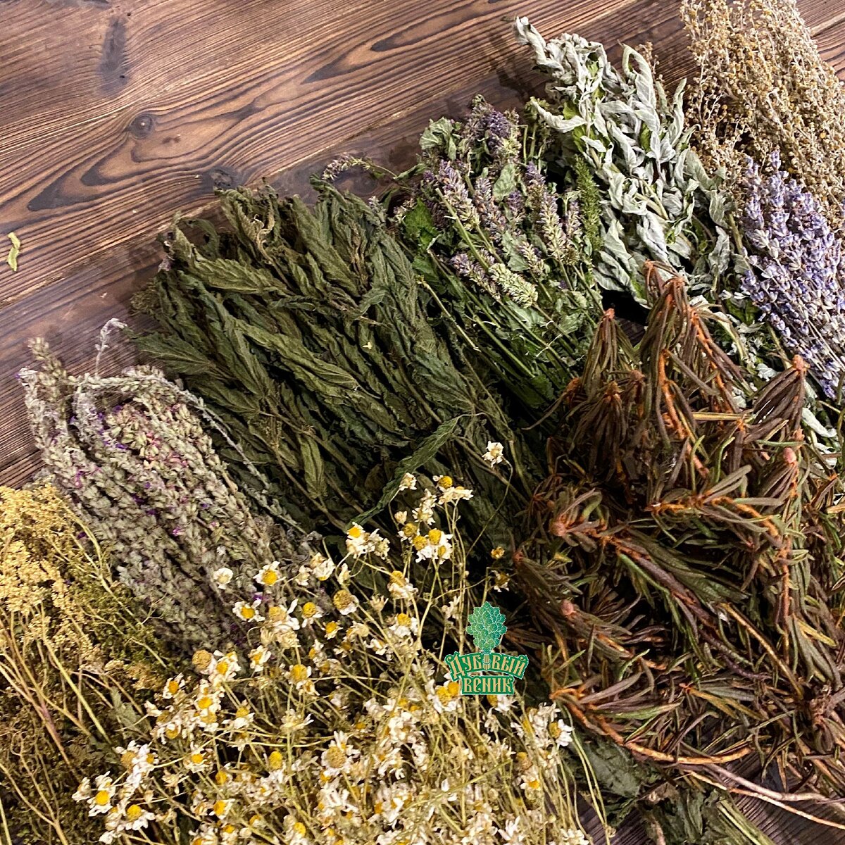 БАННЫЕВЕНИКИ.РФ