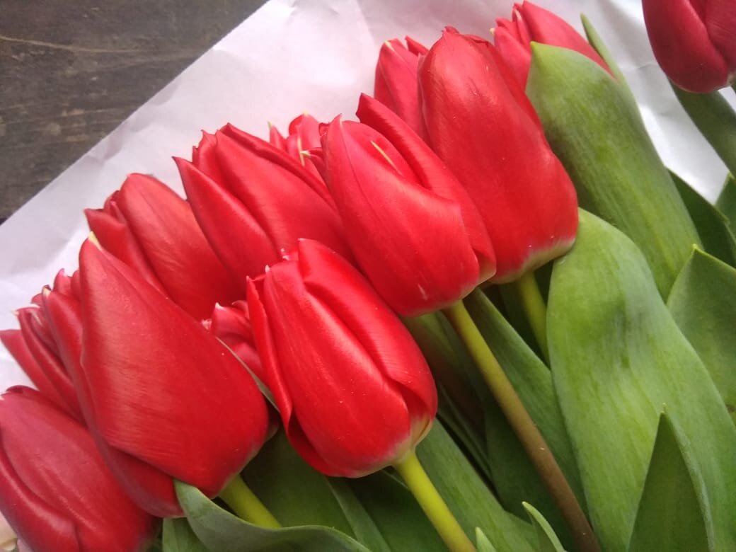 Упругие бутоны