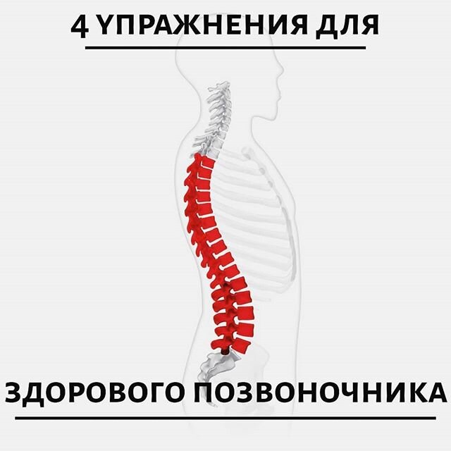 Как должен выглядеть здоровый позвоночник