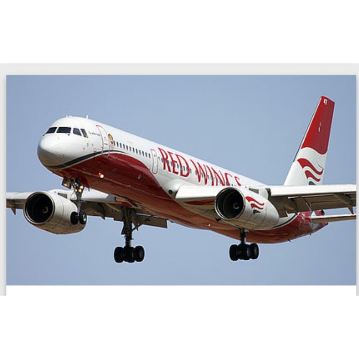 Фото из открытых источников. 