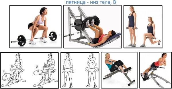 Тренажерный зал в Новосибирске: расписание, цены, отзывы | NRG-Fit