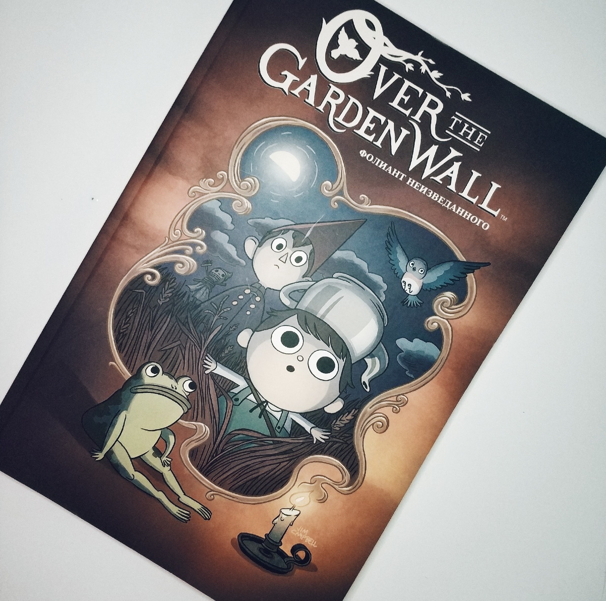 По ту сторону изгороди