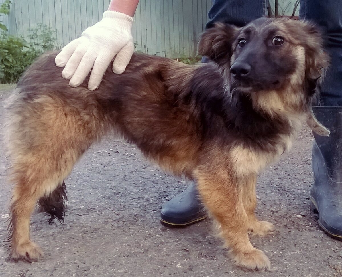 Дюймовочку эту изъяли из заброшенного барака, и была она невероятно пуглива