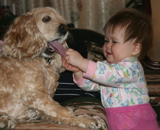 Отдавай язык по хорошему! 