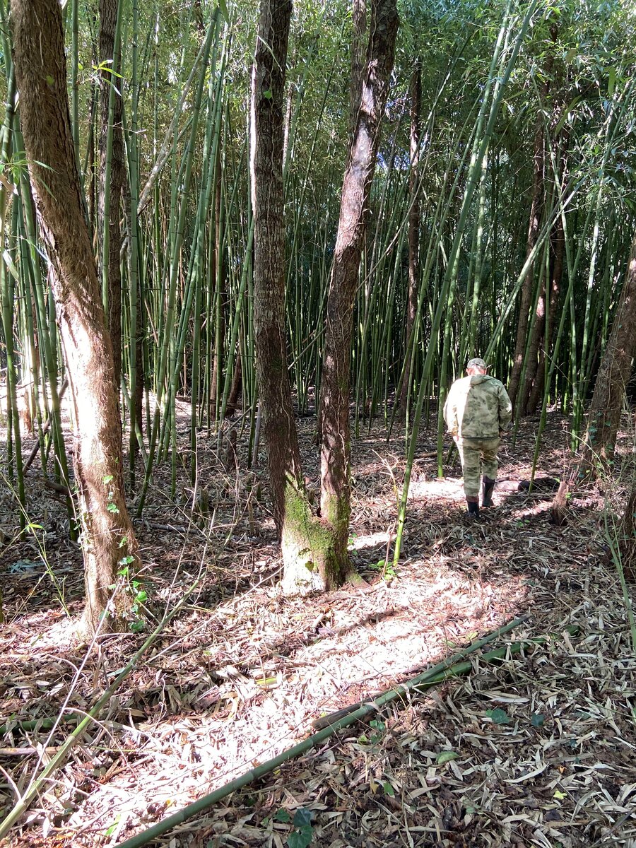 Пример закрытой одежды