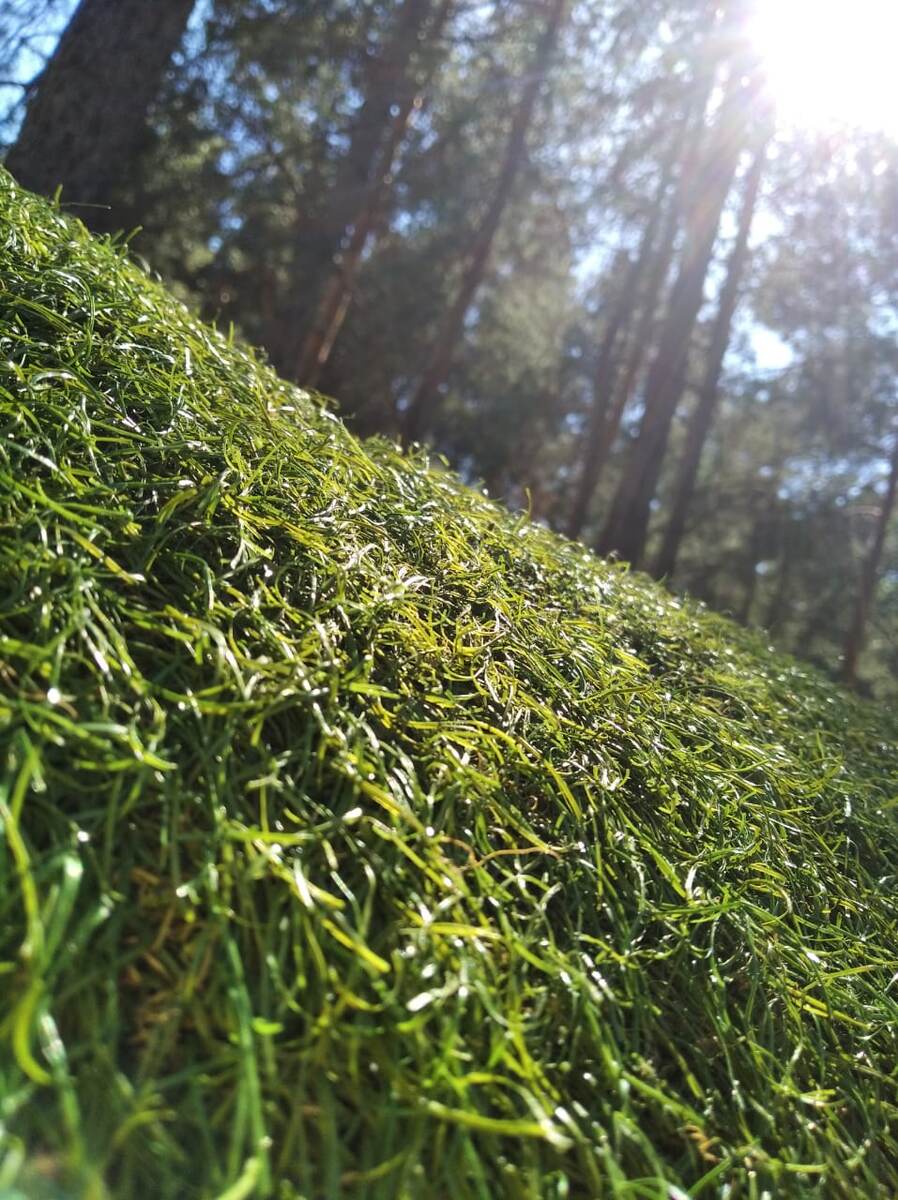 фото моей дочери, сделано на прогулке.