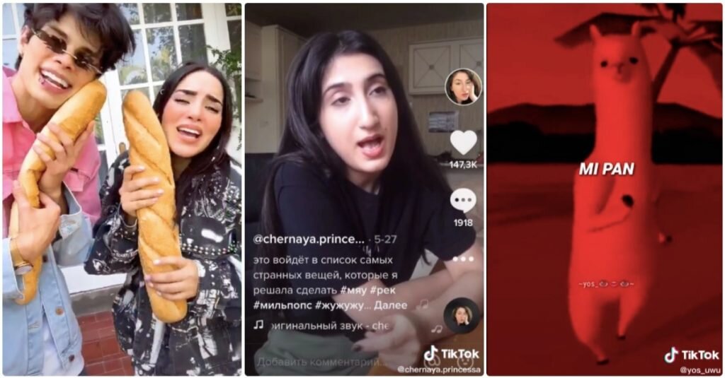 Коллаж: TikTok