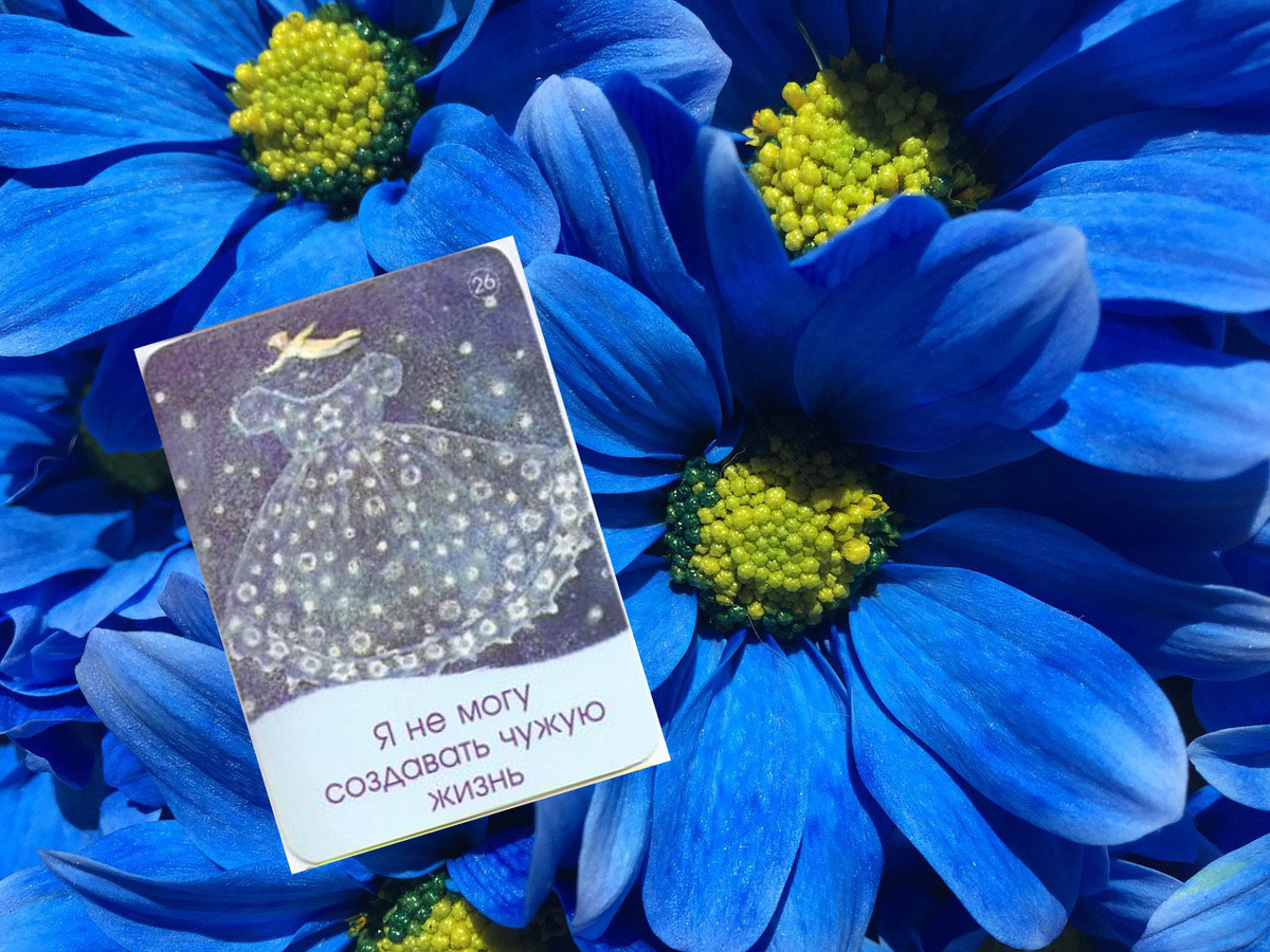 Карта 26. Я не могу создавать чужую жизнь