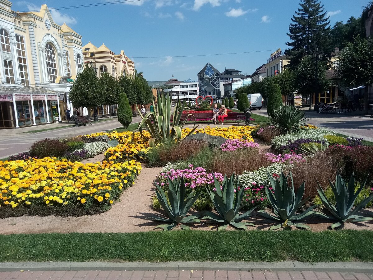 Курортный бульвар на карте. Курортный бульвар Кисловодск. Кисловодск весной цветёт Курортный бульвар деревья. Колоннада Кисловодск Курортный бульвар. Новый Курортный бульвар в Кисловодске.