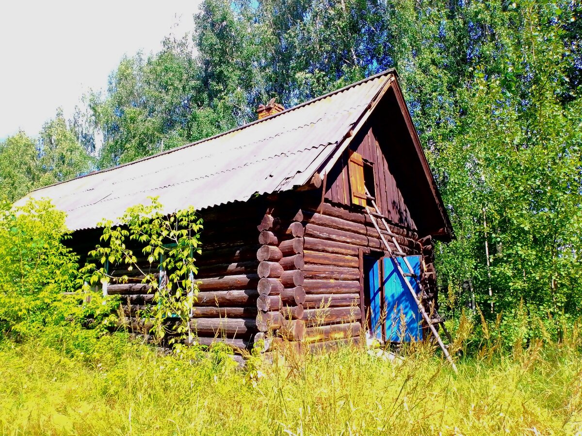 Нашел заброшеный дом в Заволжье. Показываю что внутри. | Типичные Чебоксары  | Дзен