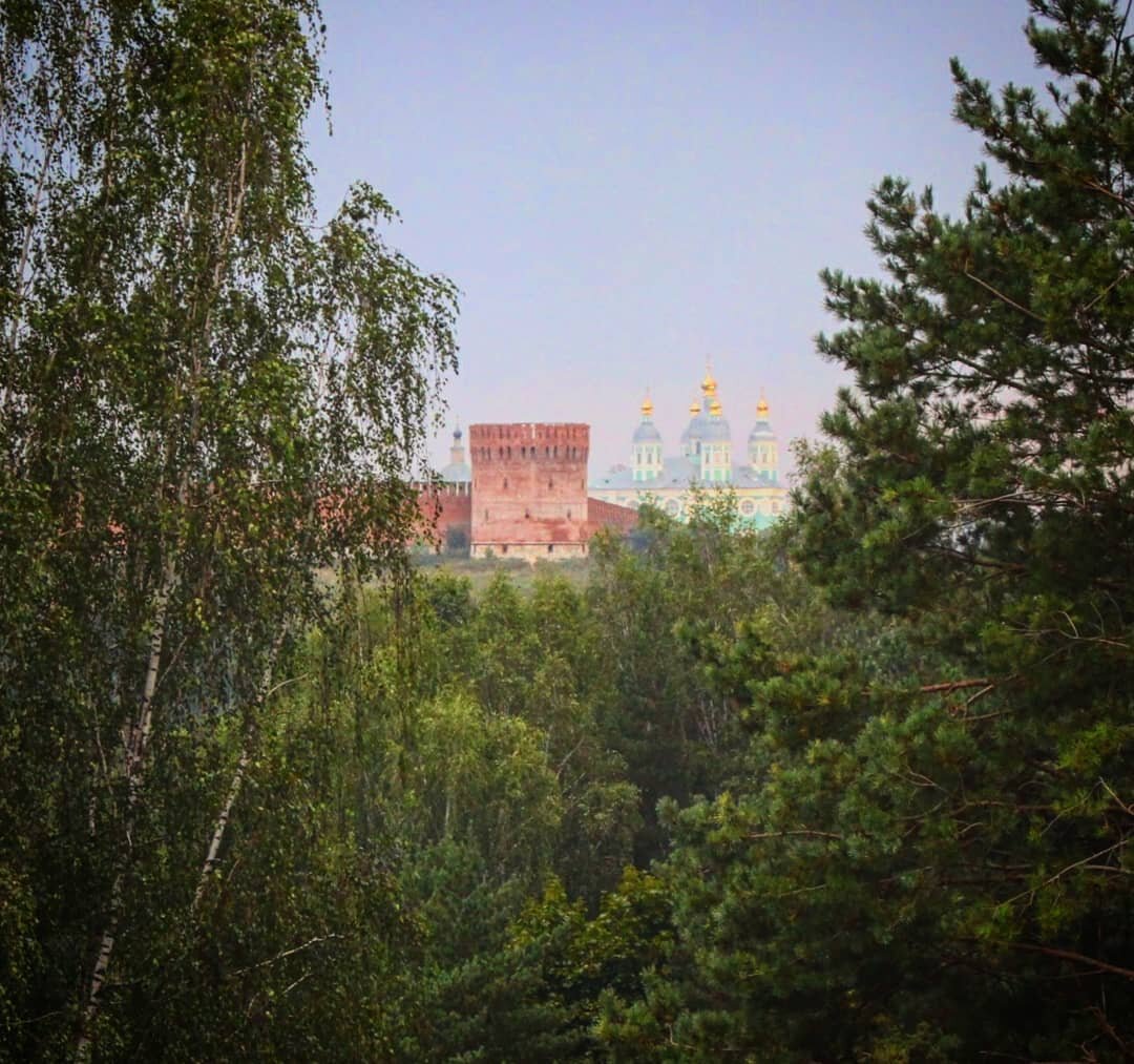 Вид со свалки промотходов на Смоленскую крепостную стену!