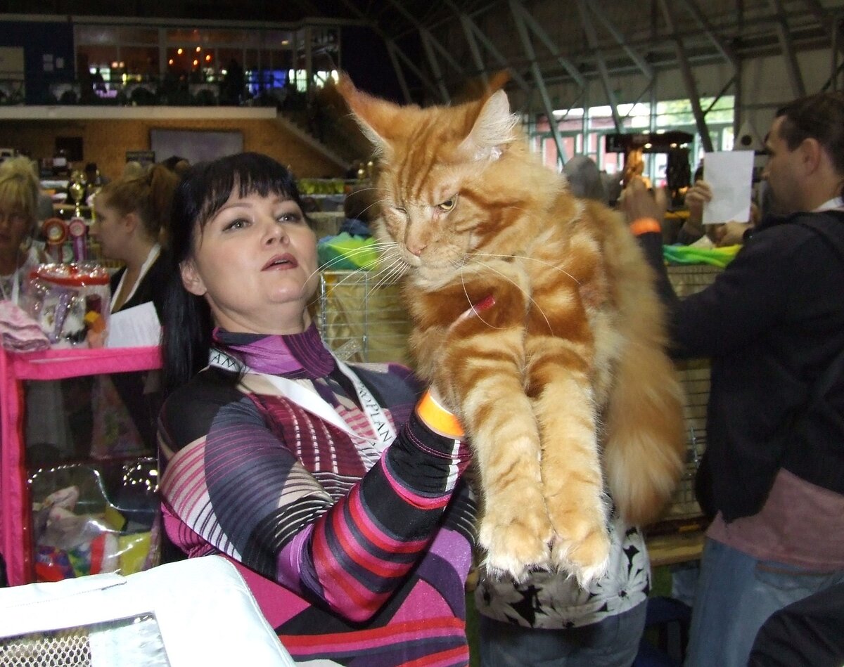 Симпатяга. Фото автора