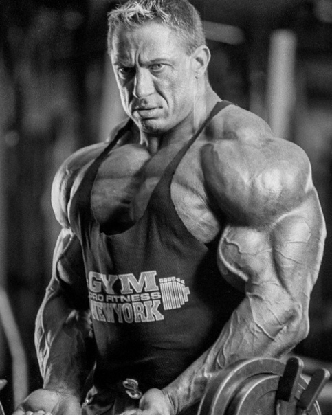 Маркус Рюль