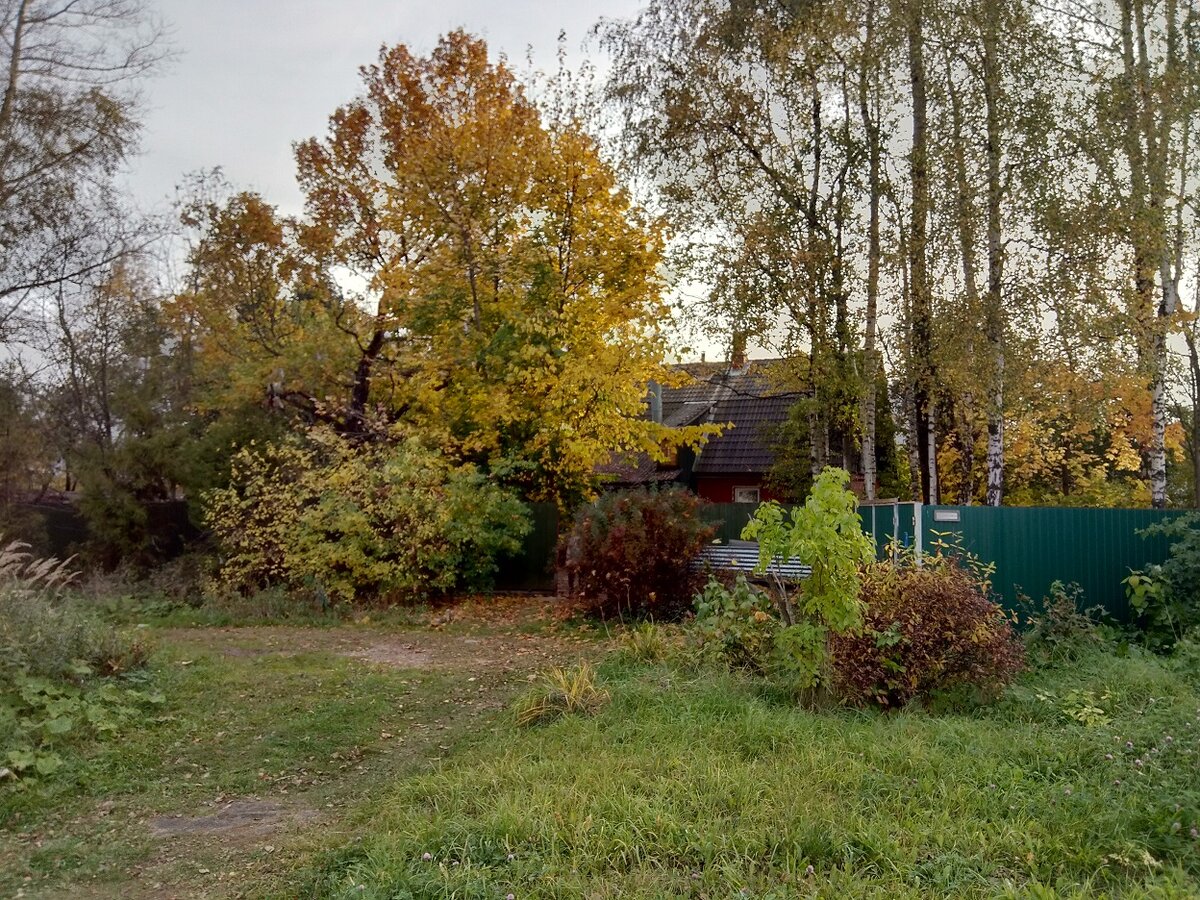 Фото автора. Осень в селе.