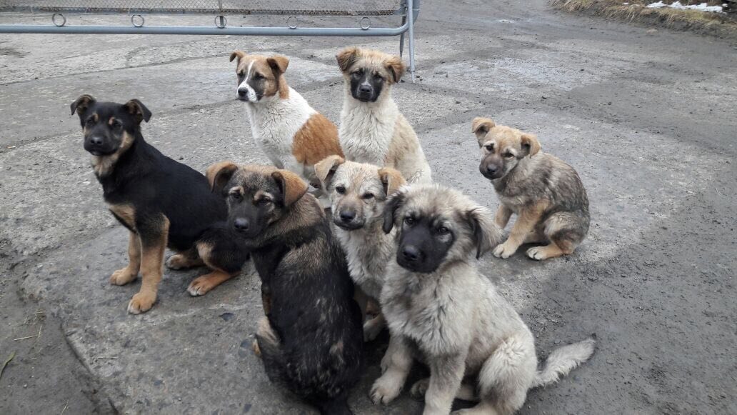 фото с сайта Яндекс - картинки