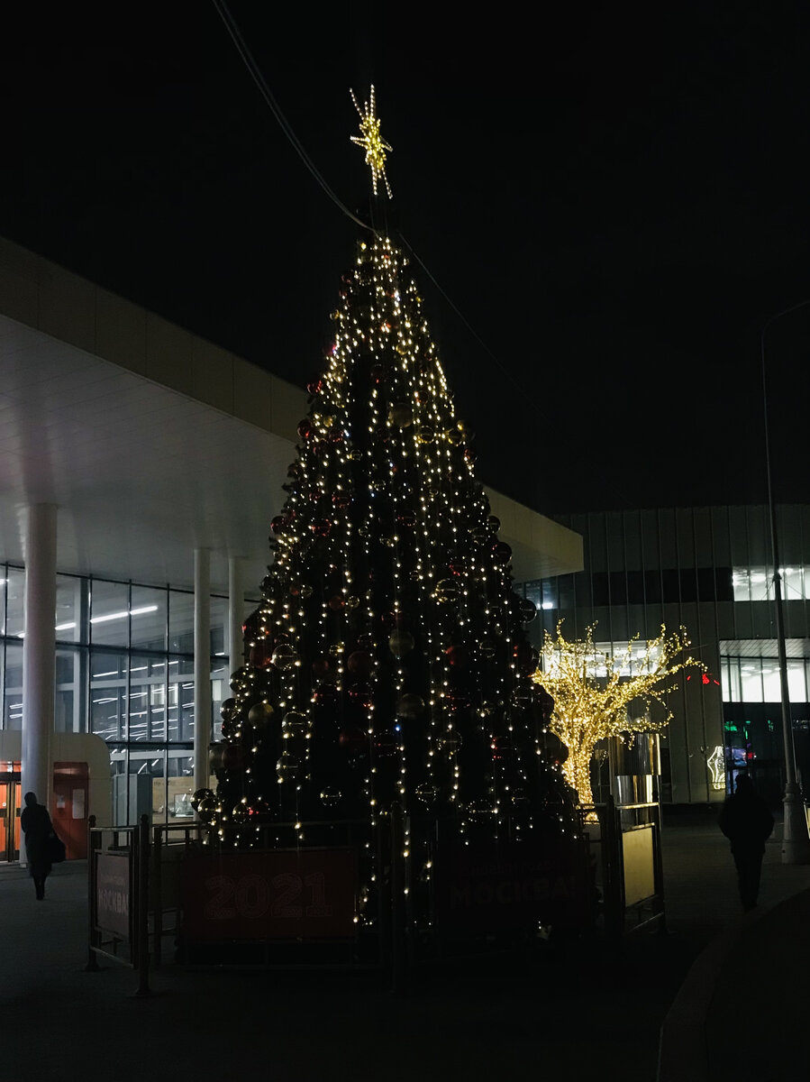 Красотка и деревце из лампочек у входа на Нижегородскую. 