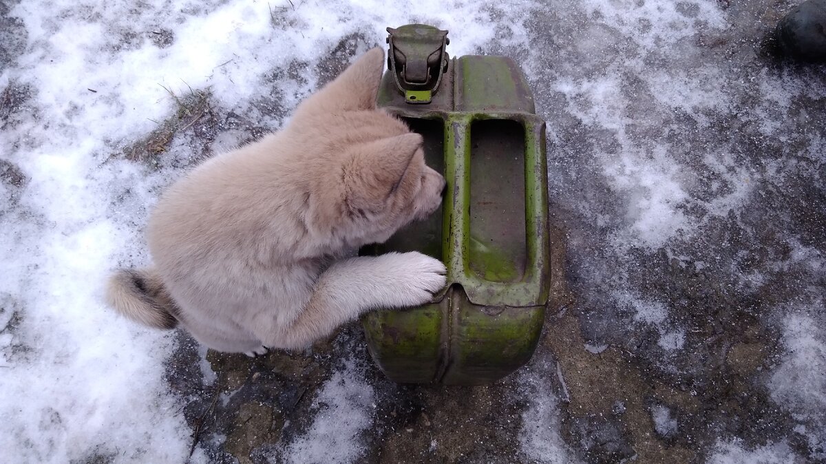 Ручки считаем.