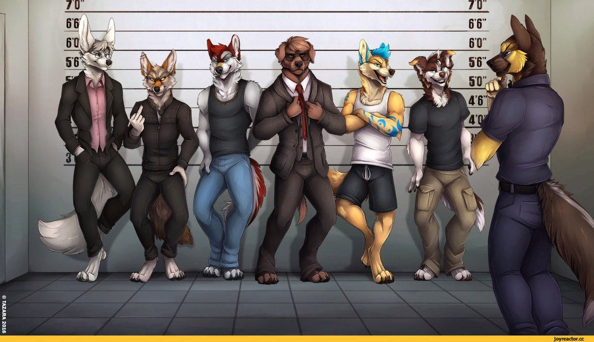Furry video games. Фурсьют колли. Фурри в форме. Фурри банда. Известные фурри.