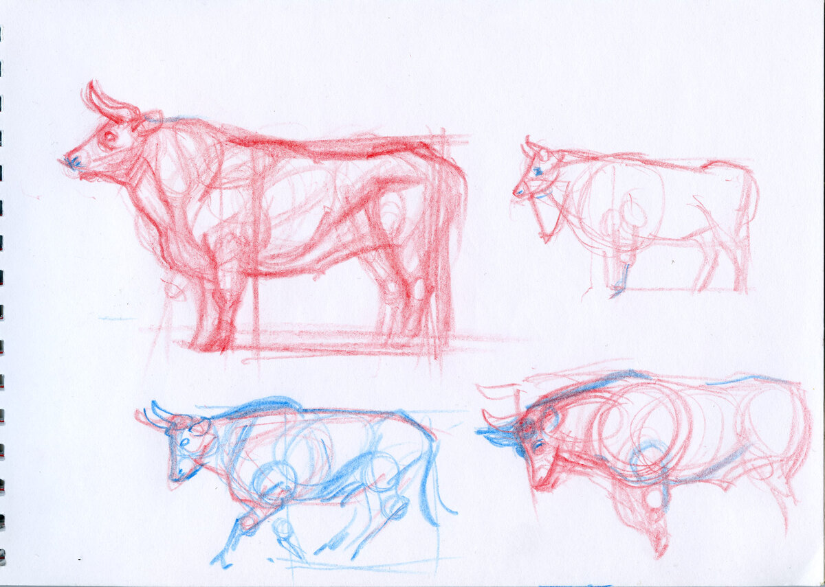 Мастер класс по рисованию быка