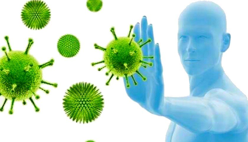 Что такое иммунитет?