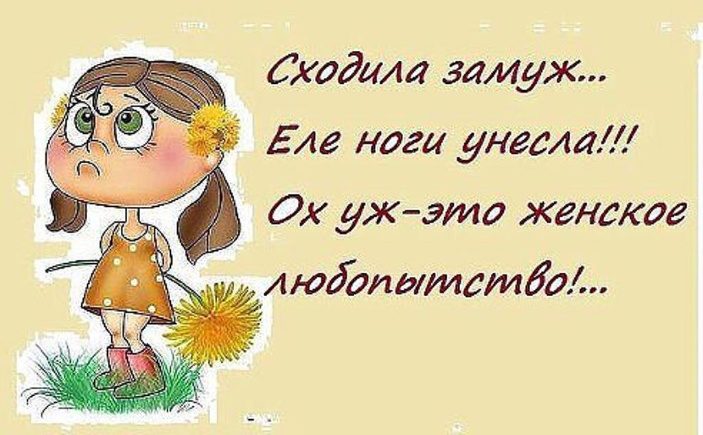 Фото из интернета в свободном доступе