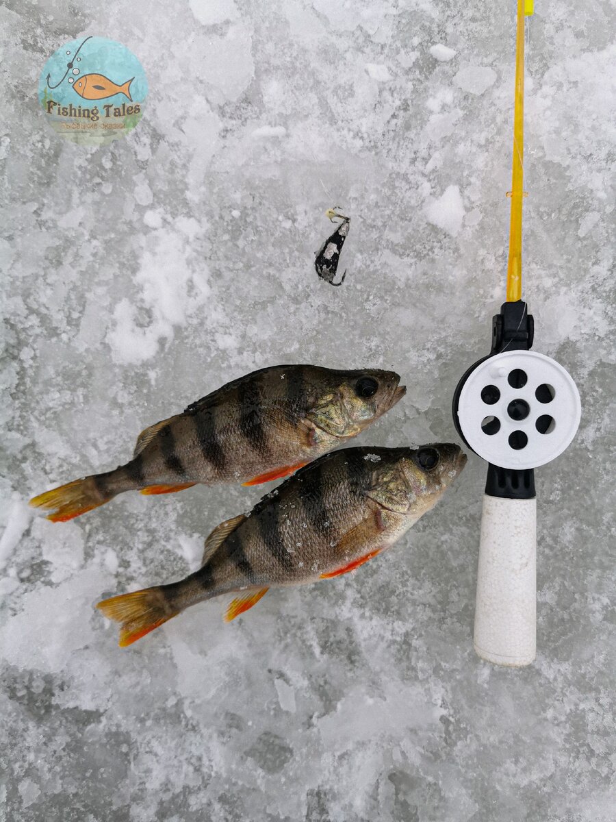 Снасть "бомба"  Фото: Fishing Tales