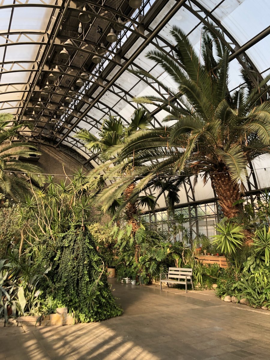 Ботанический сад санкт петербург тропики