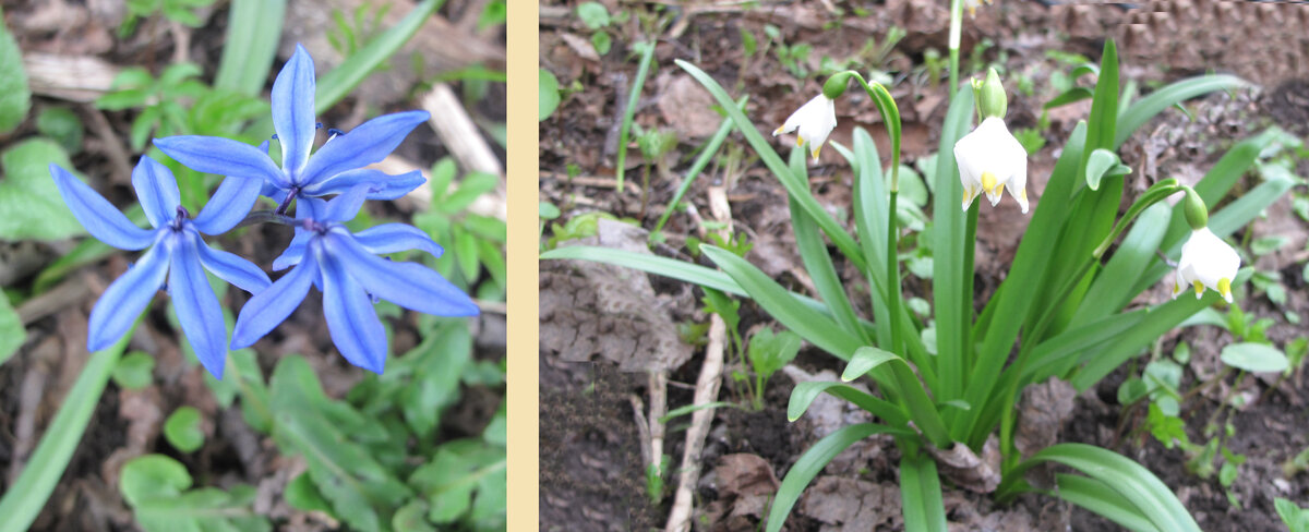 18 апреля 2021 года