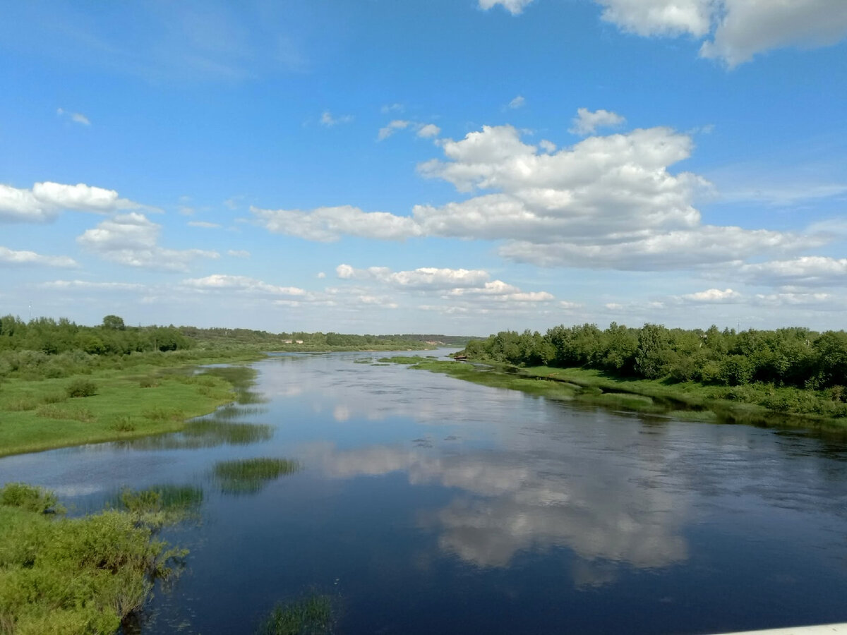 Река Молога. Вид с моста в поселке имени Желябова