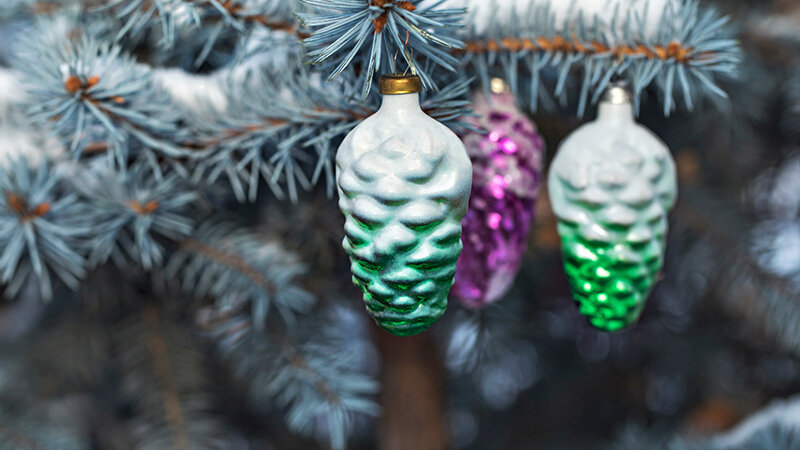 ФОТО: TRIFONOV ALEKSEY / SHUTTERSTOCK 