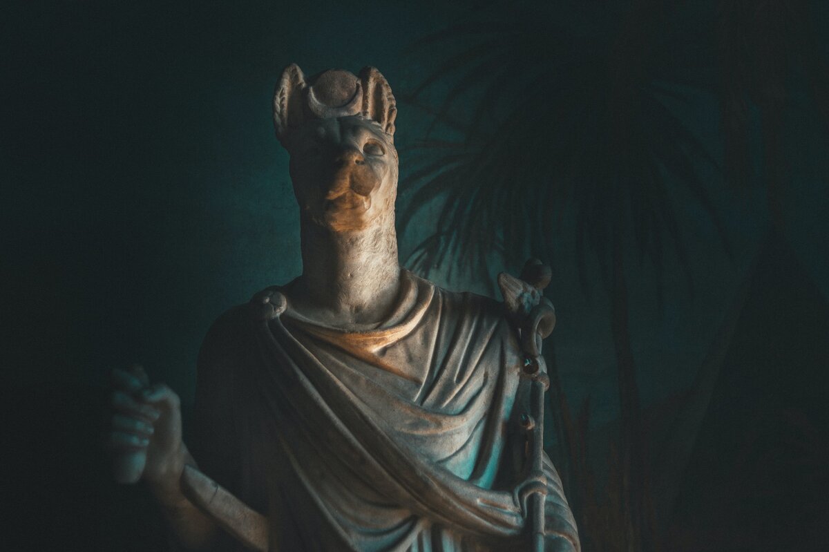 Изображение из открытого источника. Unsplash