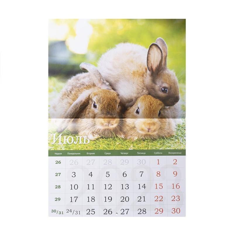 Настенный перекидной календарь на 2023 год, ND PLAY, с яркими, стильными и милыми картинками украсит дом или офис. Разместите календарь на видном месте, отмечайте на нём важные события. Размер: 348х248 мм. Состав: бумага мелованная. Товар представлен в ассортименте.