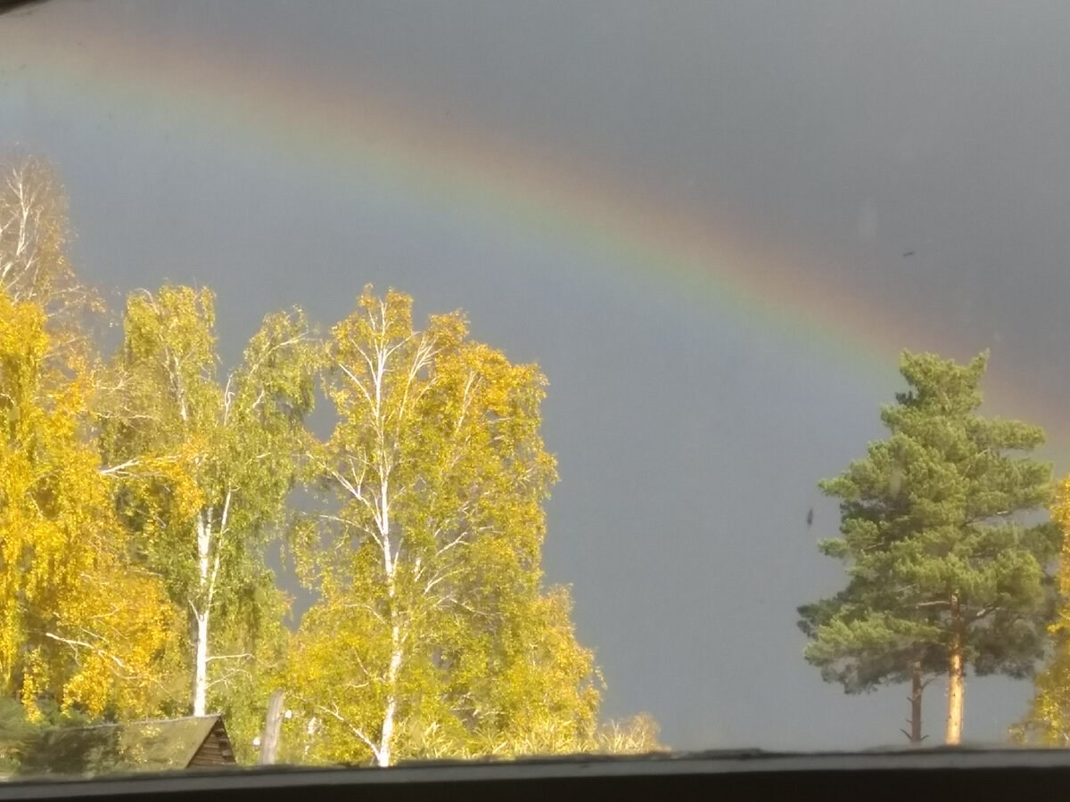 Фото автора. На даче сегодня