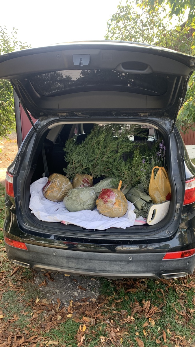 Полная загрузка)