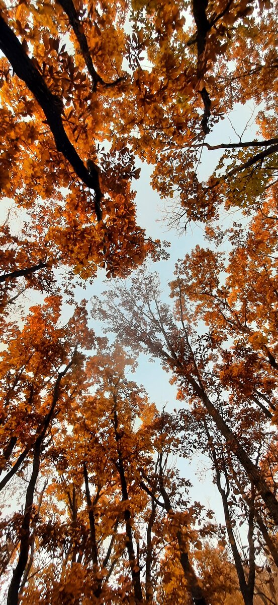 #рассказизжизни #рассказыпсихолога #психологиясемейнойжизни #психологиясемьи #психология #слободян ирина #промашу 