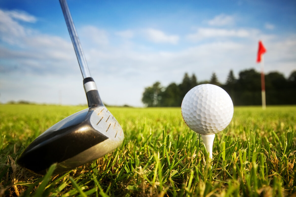 G o l d. Golf Club Sport 2022. Гольф вид спорта. Клюшка и мяч для гольфа. Гольф мяч на поле